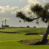 A view of green at North Palm Beach Country Club